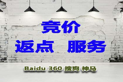 竞价广告的投放策略与效果评估——以一成功企业为例
